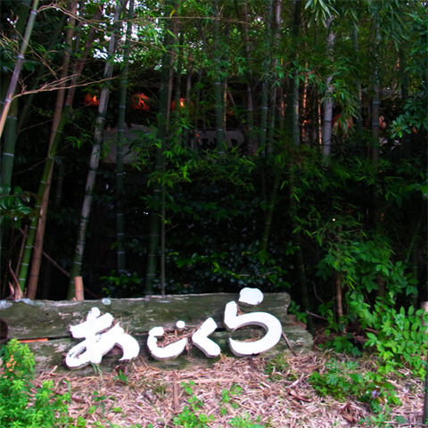 20140524yamanami27.jpg